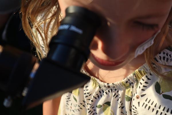 A young child with blonde hair is intently looking through the eyepiece of a black telescope, illuminated by warm golden hour sunlight